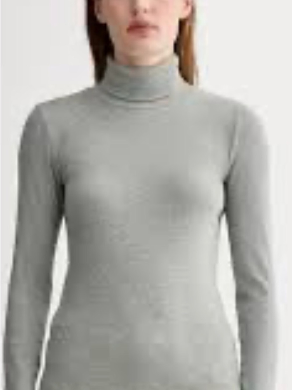 Everlane Light Gray Turtleneck Sweater